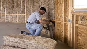 Best Crawl Space Insulation  in Chelsea, MI